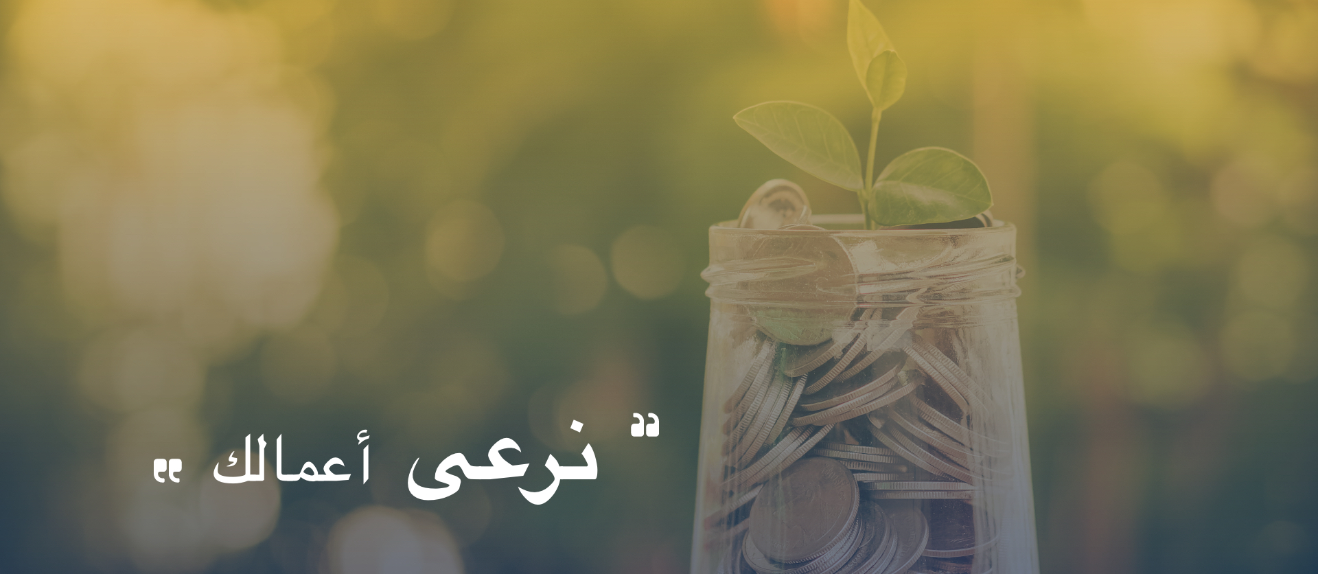 صورة رقم 5 في الدوار